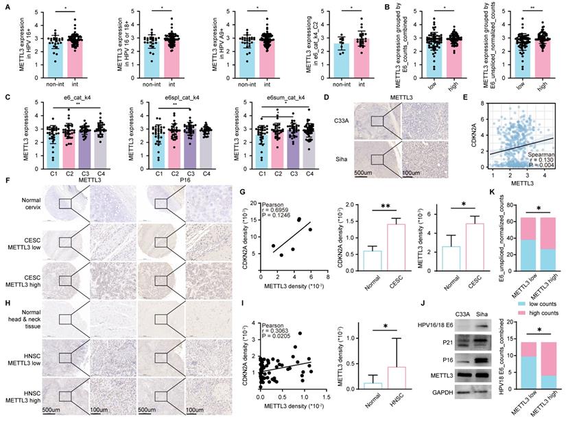 Int J Biol Sci Image