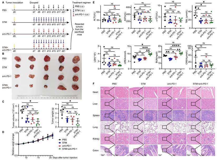 Int J Biol Sci Image