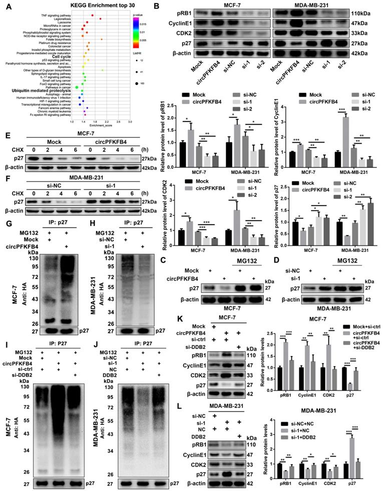 Int J Biol Sci Image