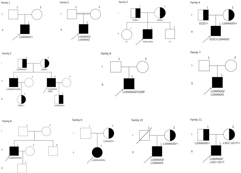 Int J Biol Sci Image