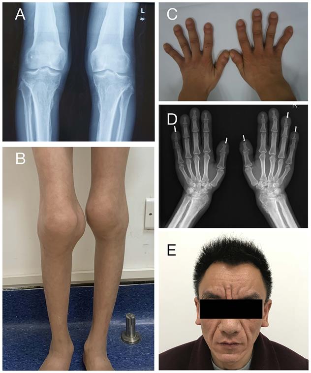 Int J Biol Sci Image