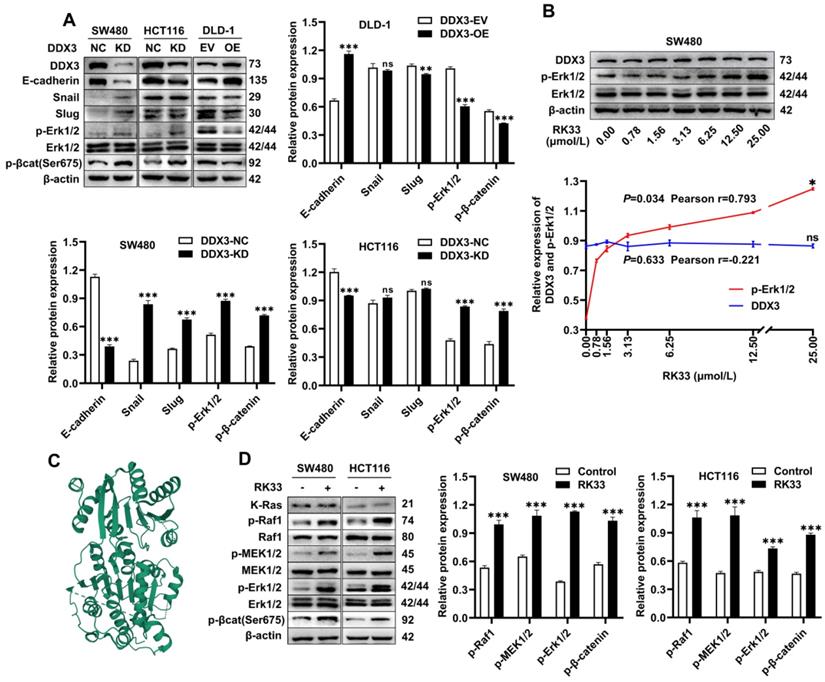 Int J Biol Sci Image