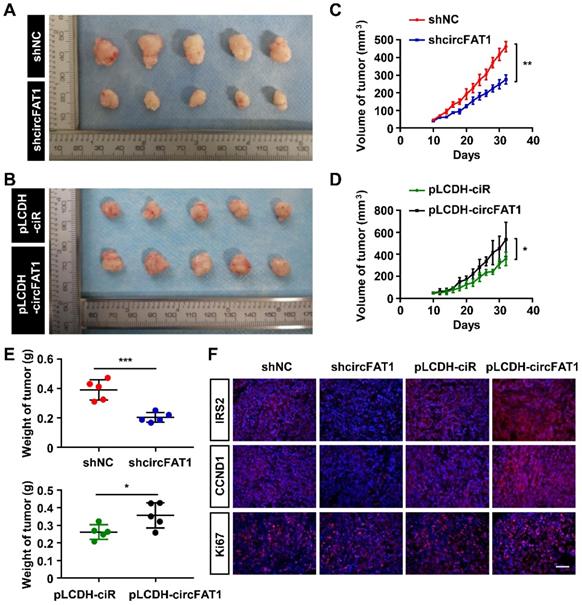 Int J Biol Sci Image