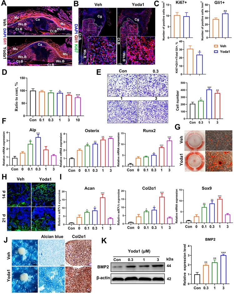 Int J Biol Sci Image