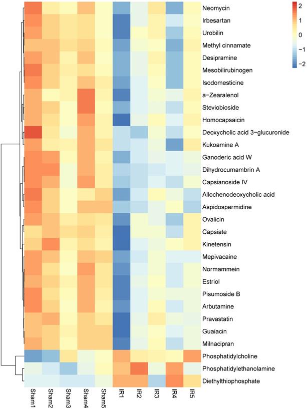 Int J Biol Sci Image