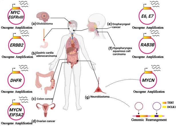 Int J Biol Sci Image