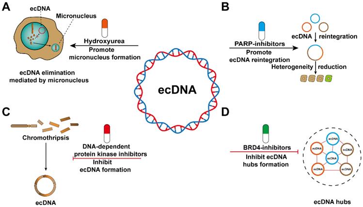 Int J Biol Sci Image