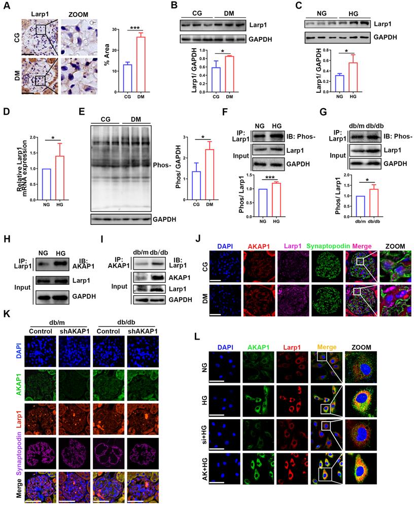 Int J Biol Sci Image