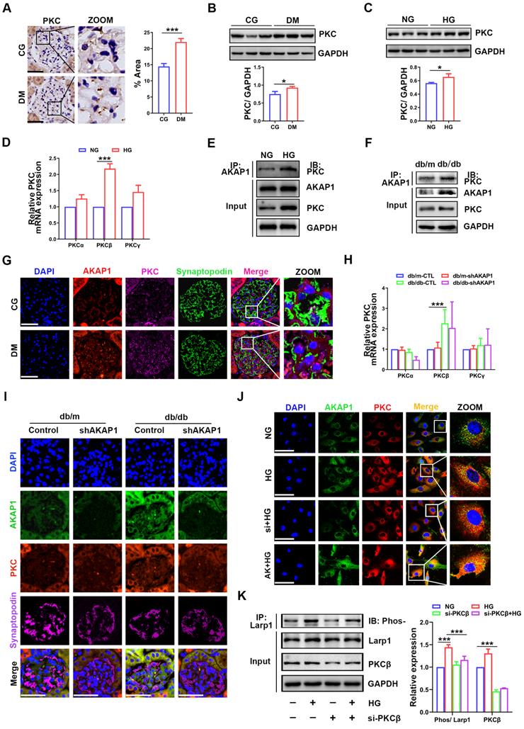 Int J Biol Sci Image