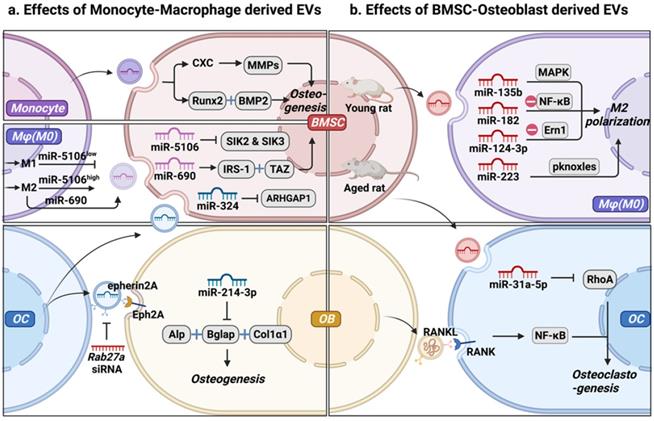 Int J Biol Sci Image