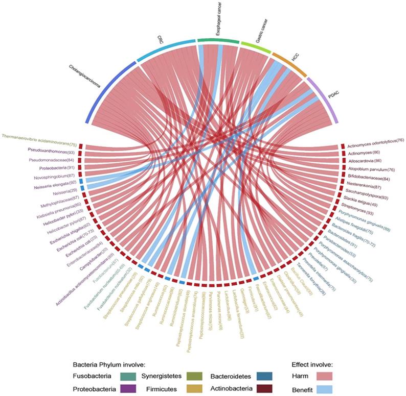 Int J Biol Sci Image