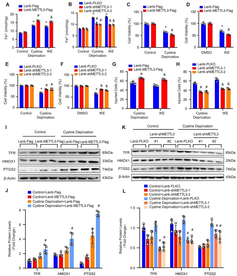 Int J Biol Sci Image