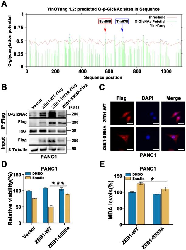 Int J Biol Sci Image