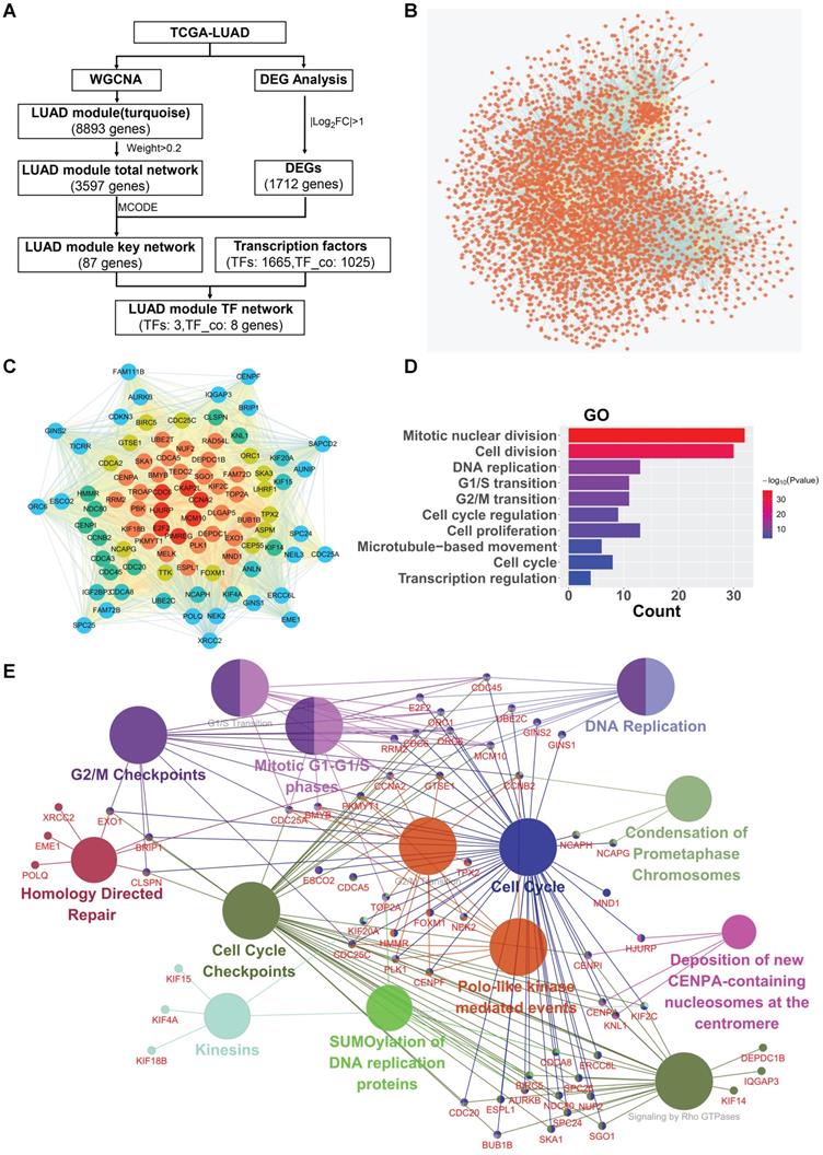 Int J Biol Sci Image