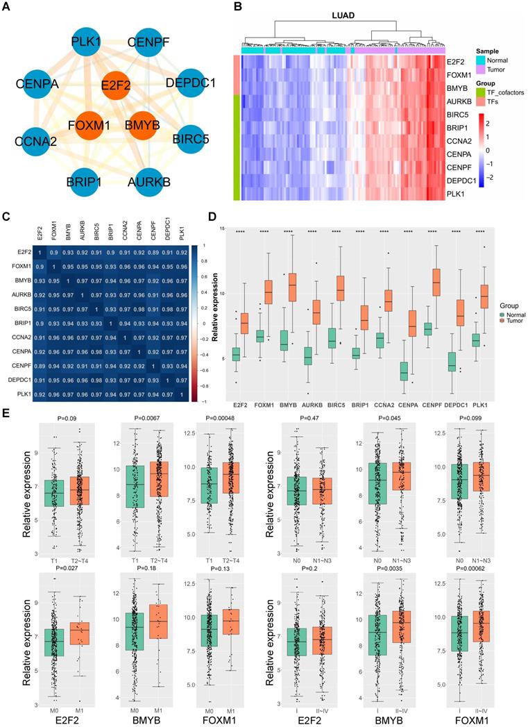 Int J Biol Sci Image