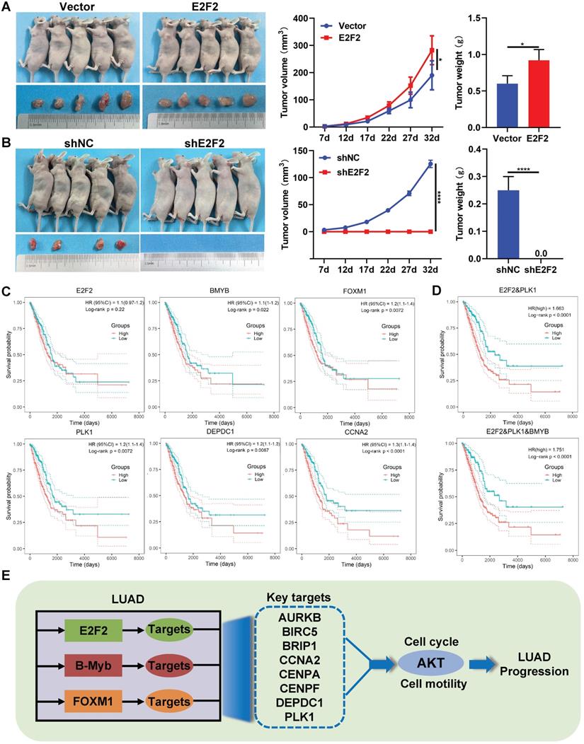 Int J Biol Sci Image