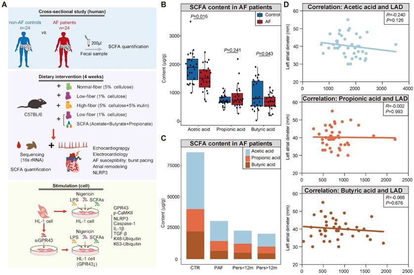 Int J Biol Sci Image