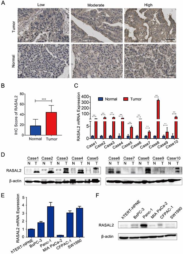 Int J Biol Sci Image