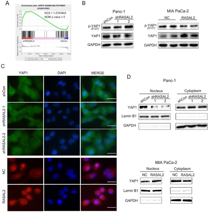 Int J Biol Sci Image