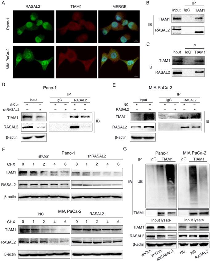 Int J Biol Sci Image