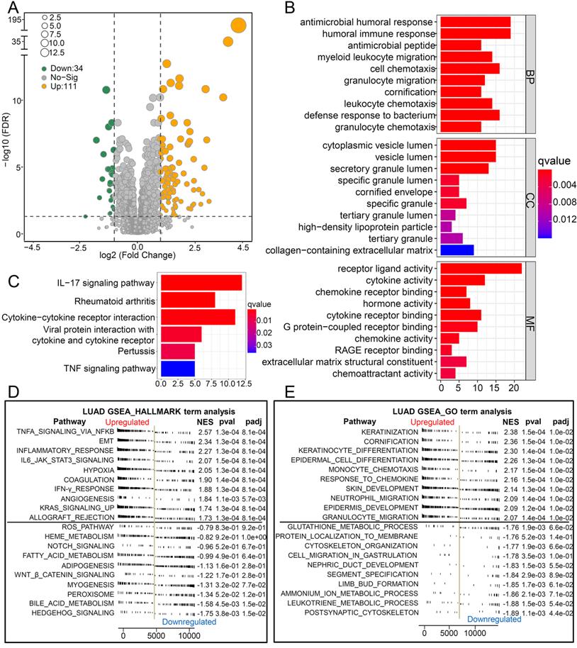 Int J Biol Sci Image