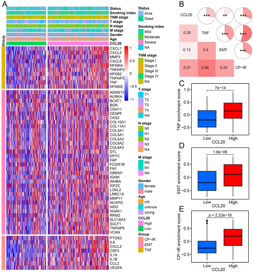 Int J Biol Sci Image