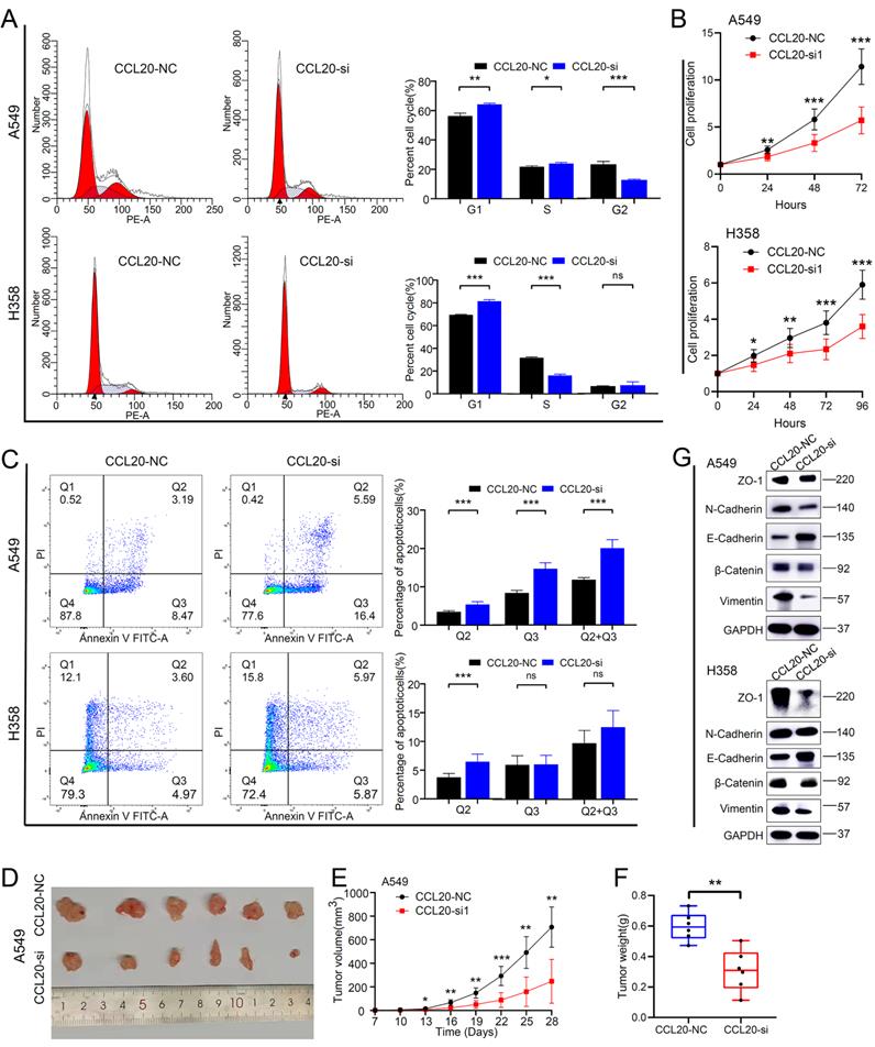 Int J Biol Sci Image