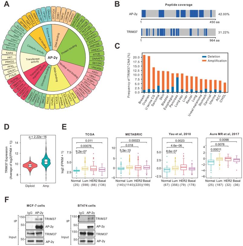 Int J Biol Sci Image