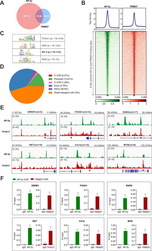 Int J Biol Sci Image