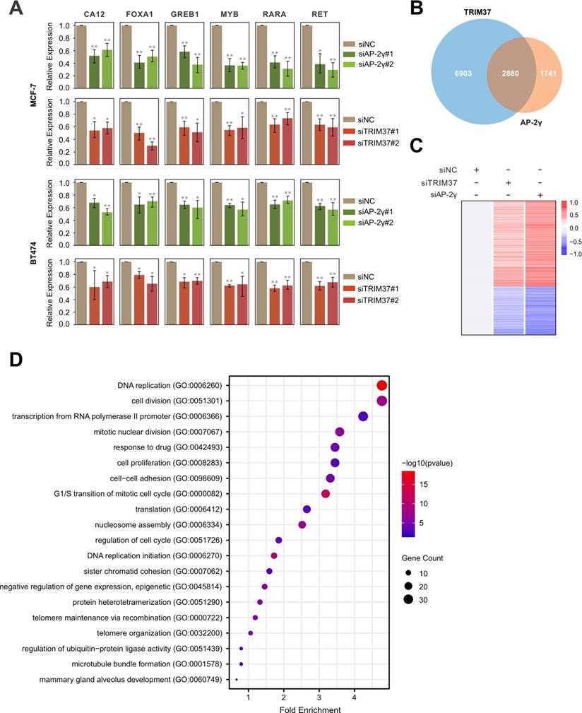 Int J Biol Sci Image