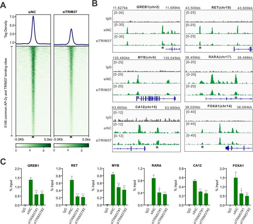 Int J Biol Sci Image