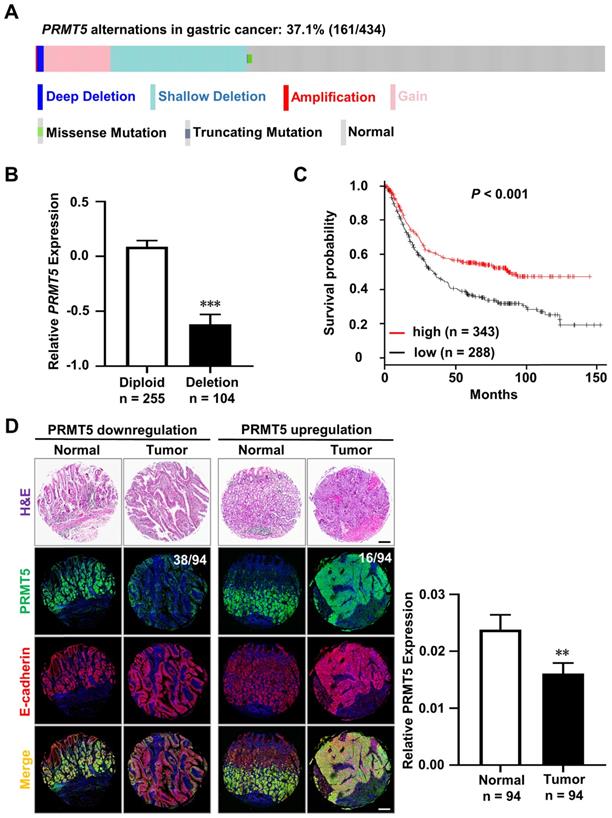 Int J Biol Sci Image