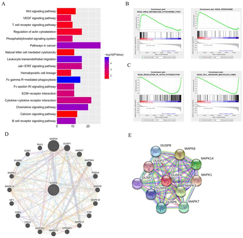 Int J Biol Sci Image