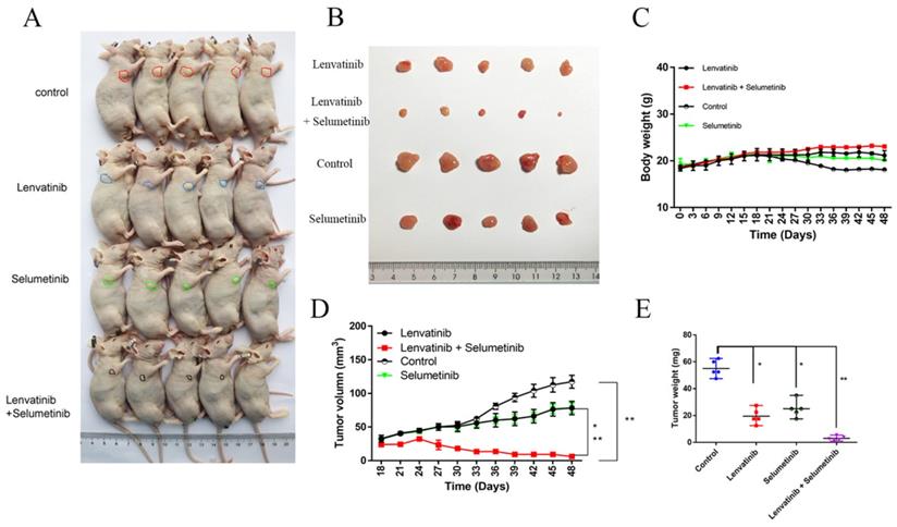 Int J Biol Sci Image