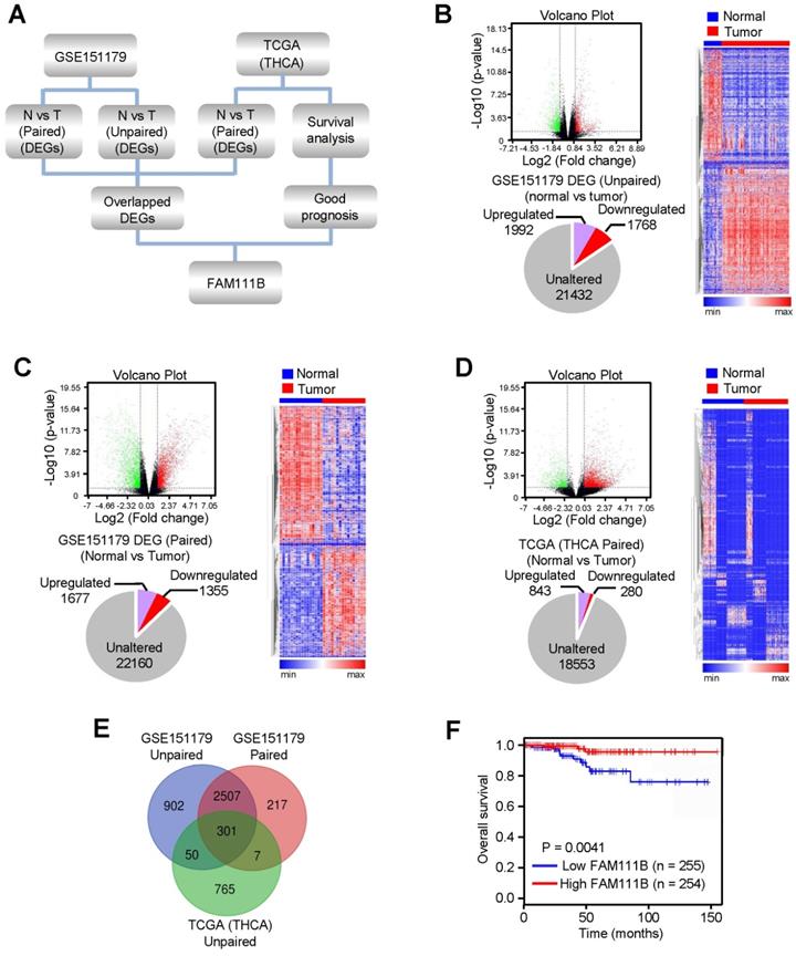 Int J Biol Sci Image