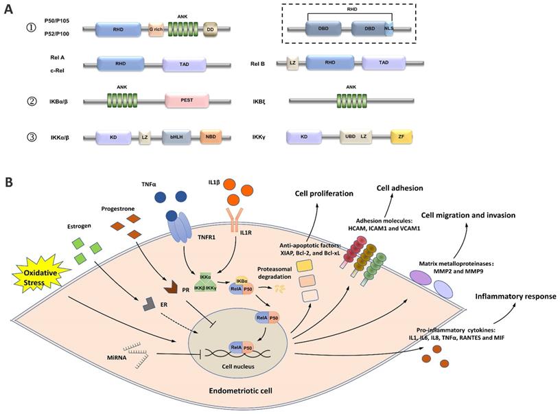 Int J Biol Sci Image