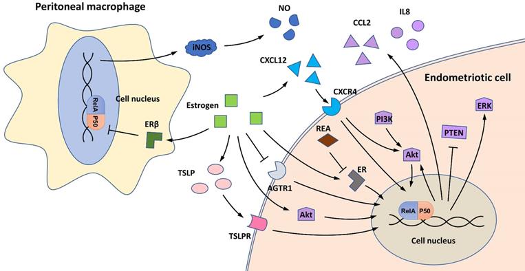 Int J Biol Sci Image