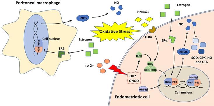 Int J Biol Sci Image