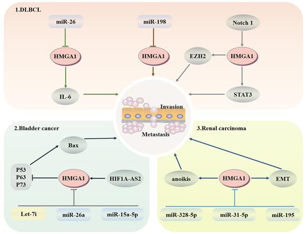 Int J Biol Sci Image