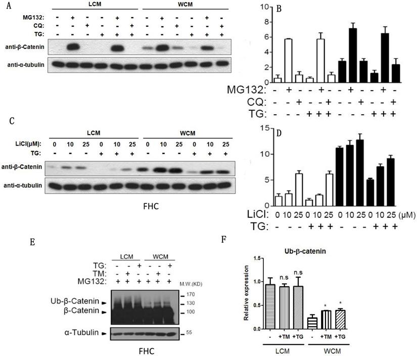 Int J Biol Sci Image