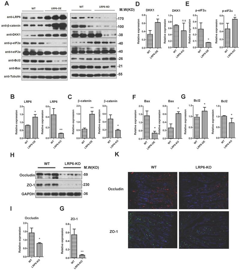 Int J Biol Sci Image