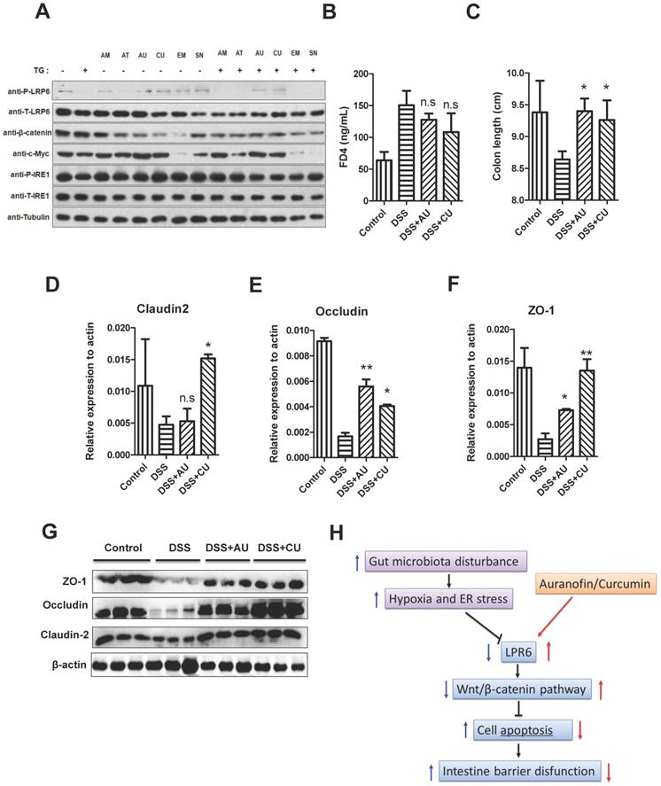 Int J Biol Sci Image