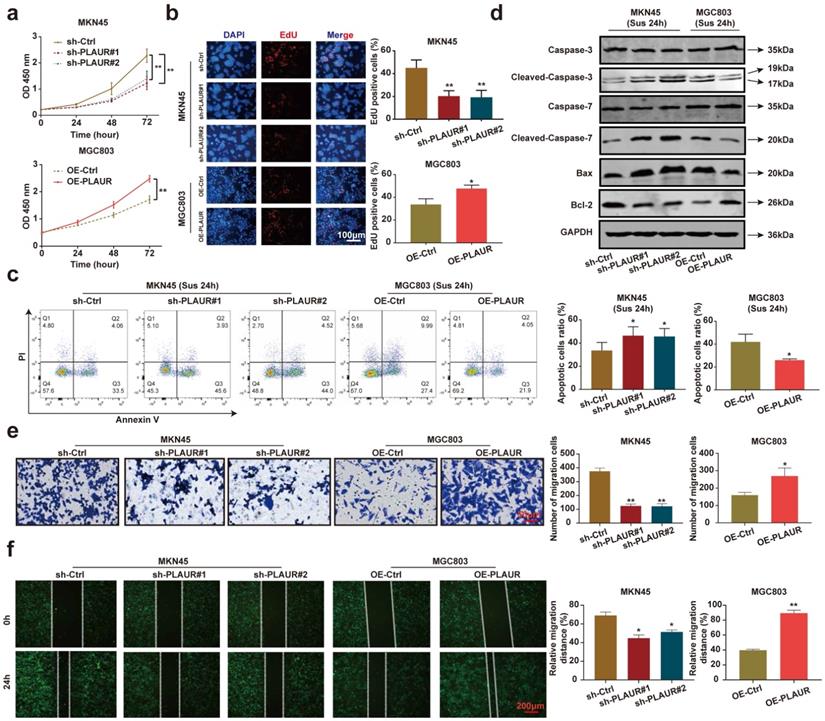 Int J Biol Sci Image