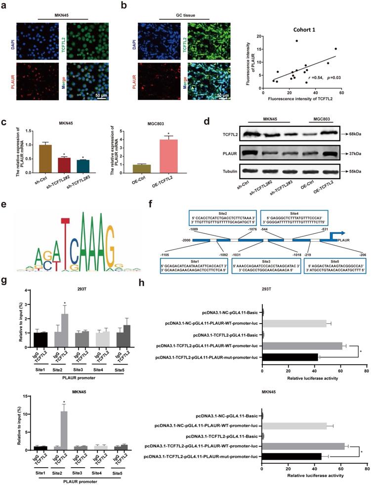 Int J Biol Sci Image