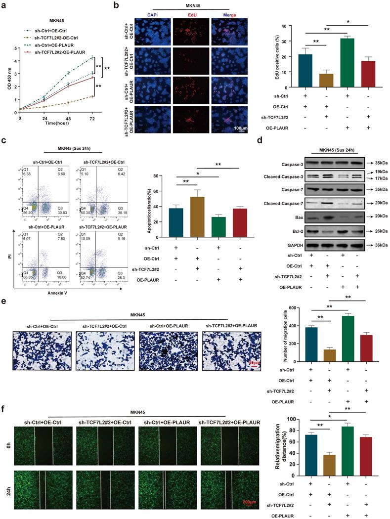 Int J Biol Sci Image