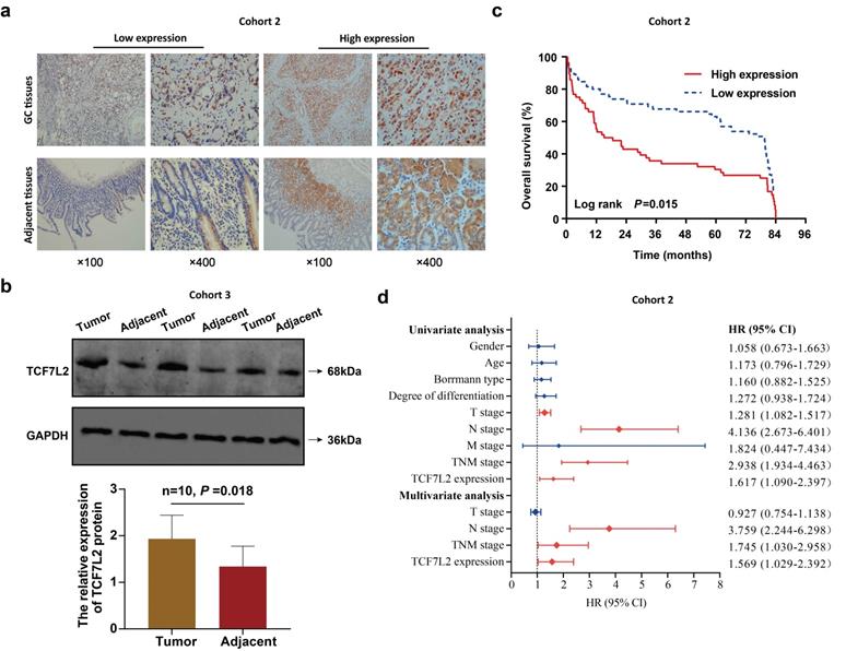 Int J Biol Sci Image