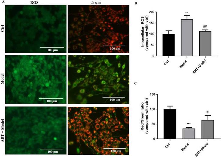 Int J Biol Sci Image