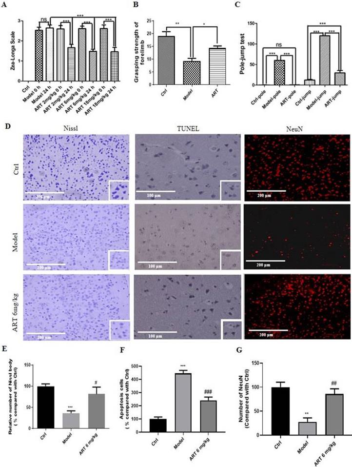 Int J Biol Sci Image