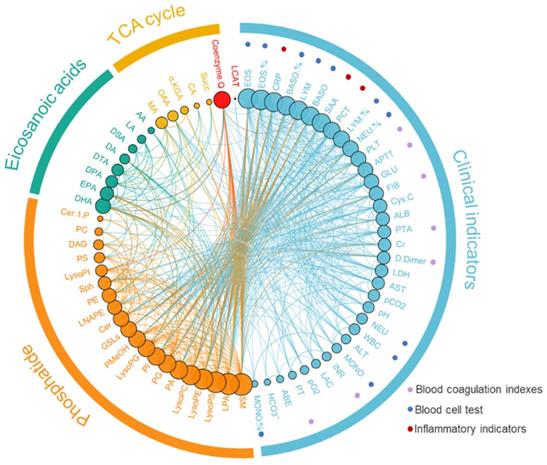 Int J Biol Sci Image