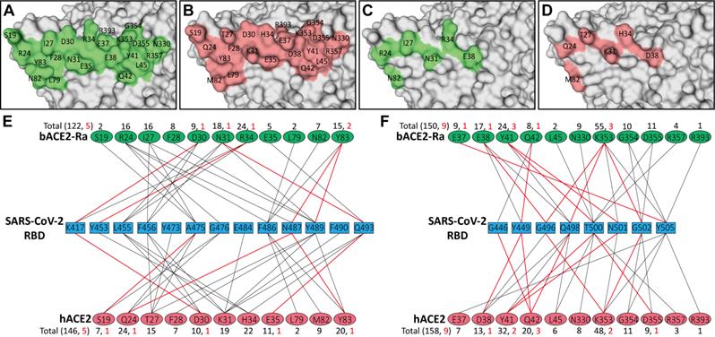 Int J Biol Sci Image